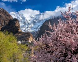 Base camp at Hunza Velley Blossom Tours
